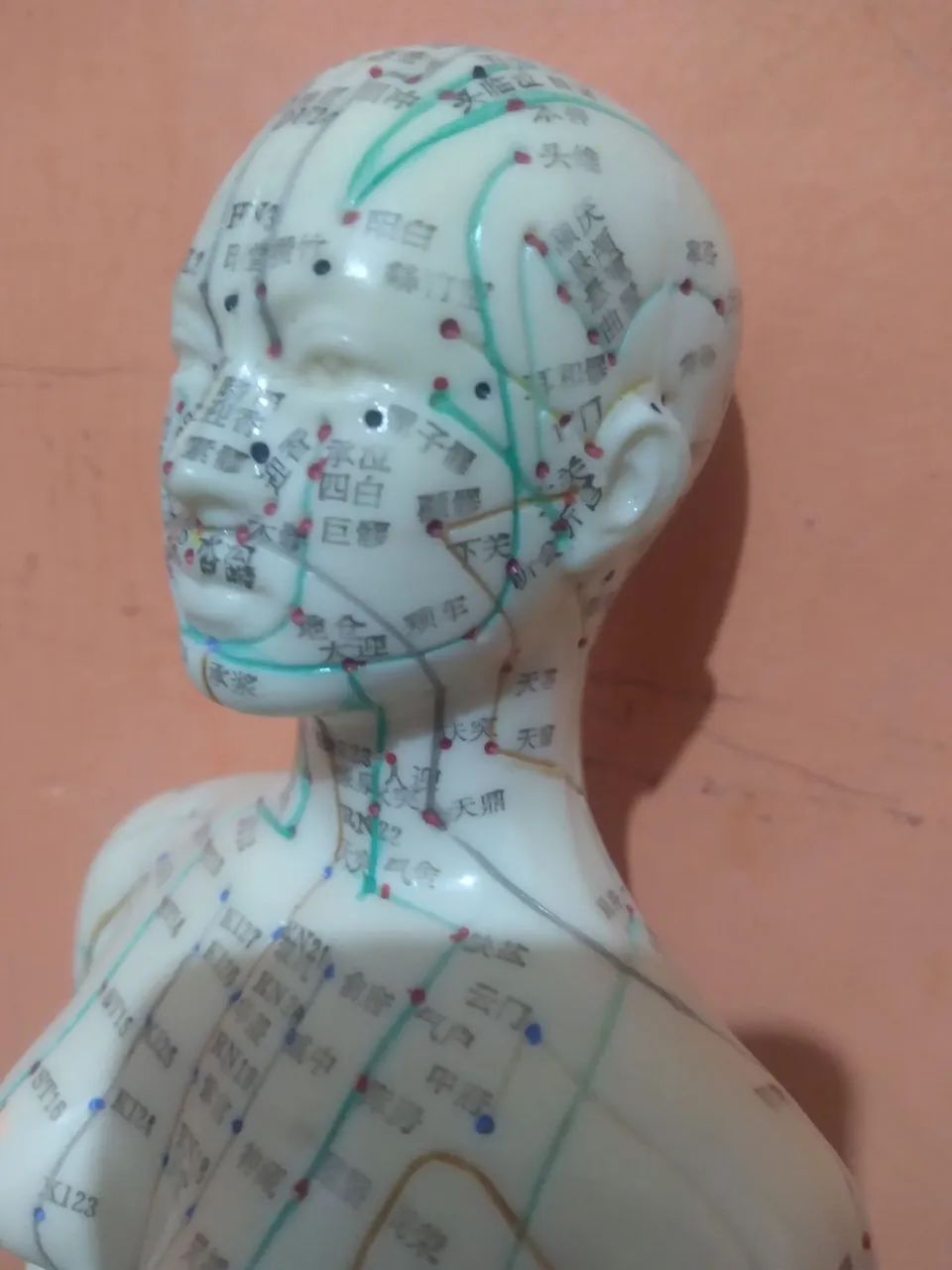 Boneca de silicone anatômica para acupuntura  - Foto 3