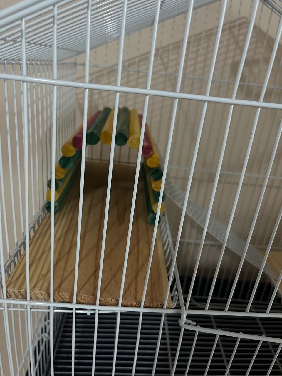 Gaiola roedor  - Foto 5