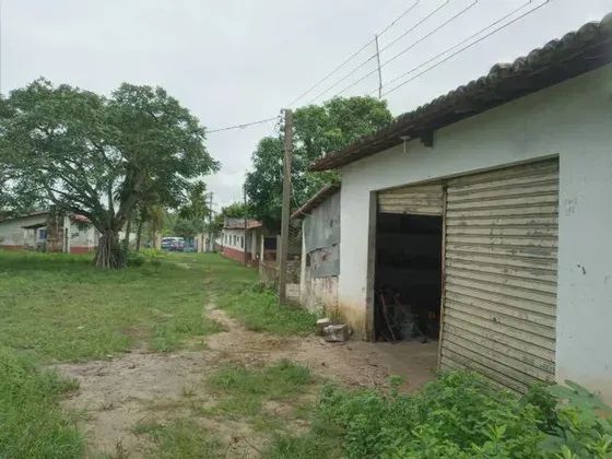 Granja com 11 hectares na região de Monte Alegre estruturada - Foto 3