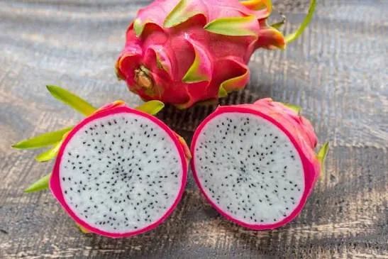  Mudas de Pitaya Vermelha e Branca - Direto do Produtor! - Foto 3