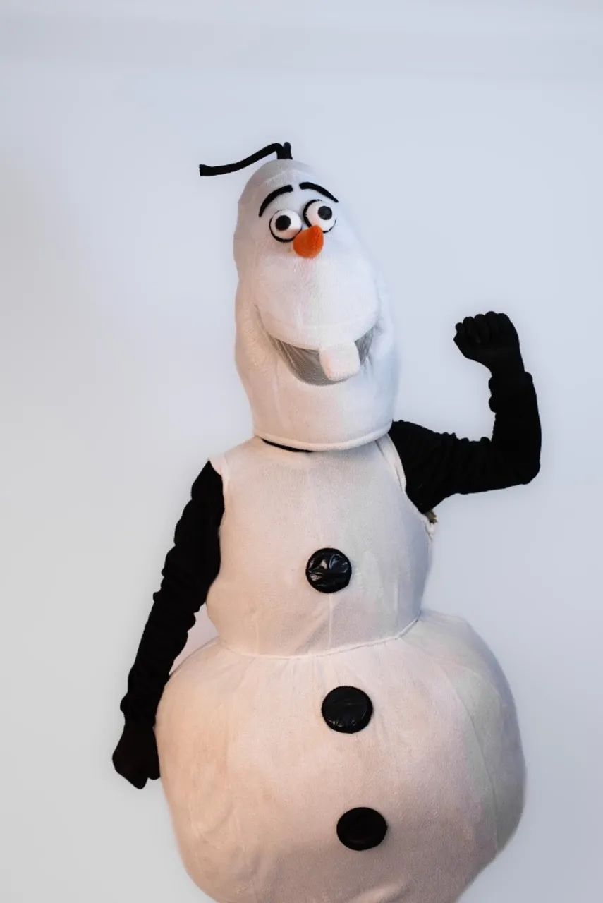 Fantasias Frozen - Foto 2