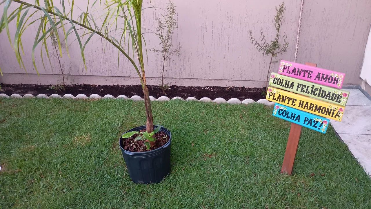 LINDAS CASAS NOVAS . SEPARADAS - Foto 5