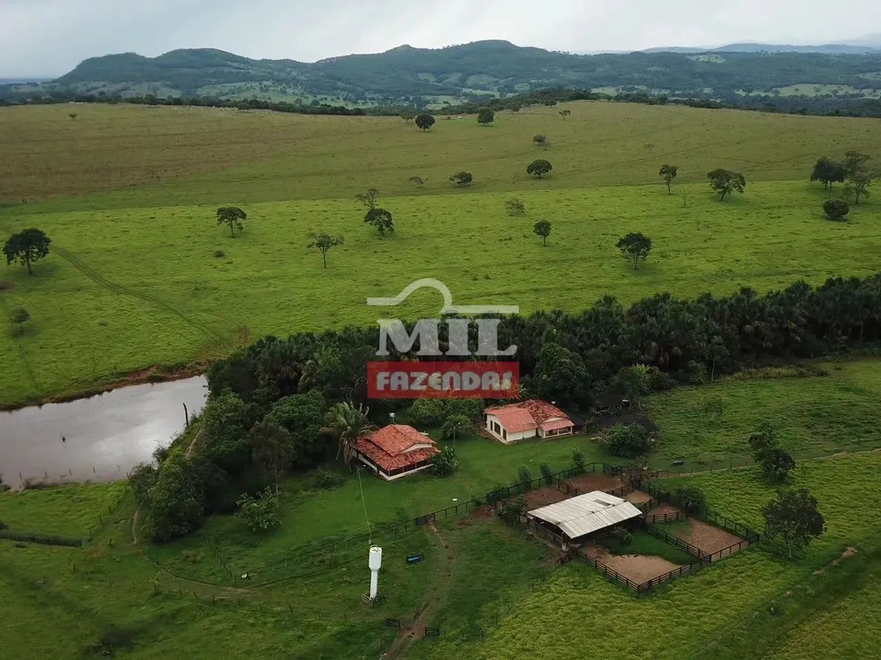 Fazenda 67 alqueires (324 hectares) Rianápolis - Go