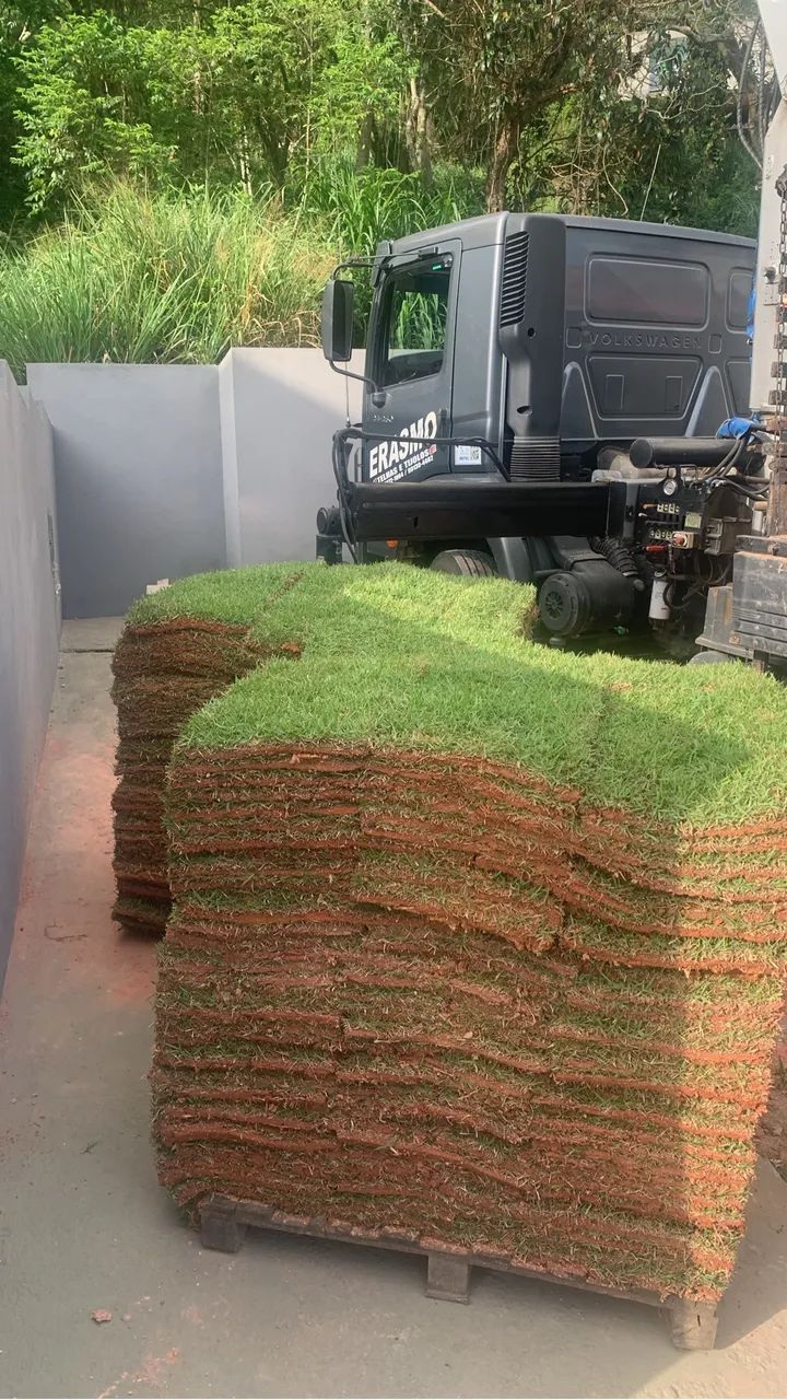 Grama pronta entrega 