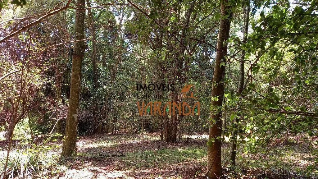 COM 10.076,69 METROS! - Foto 3