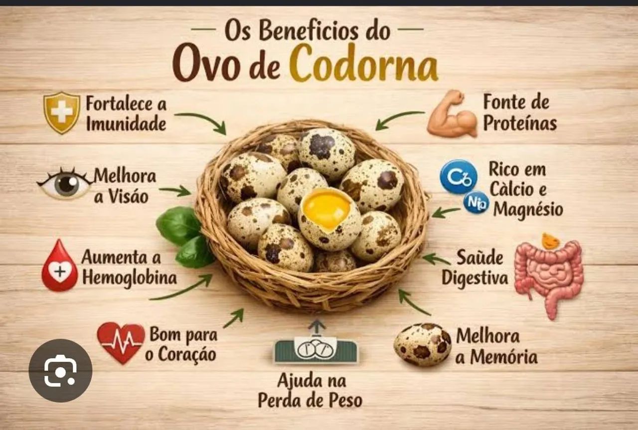 Ovos de codorna  - Foto 2