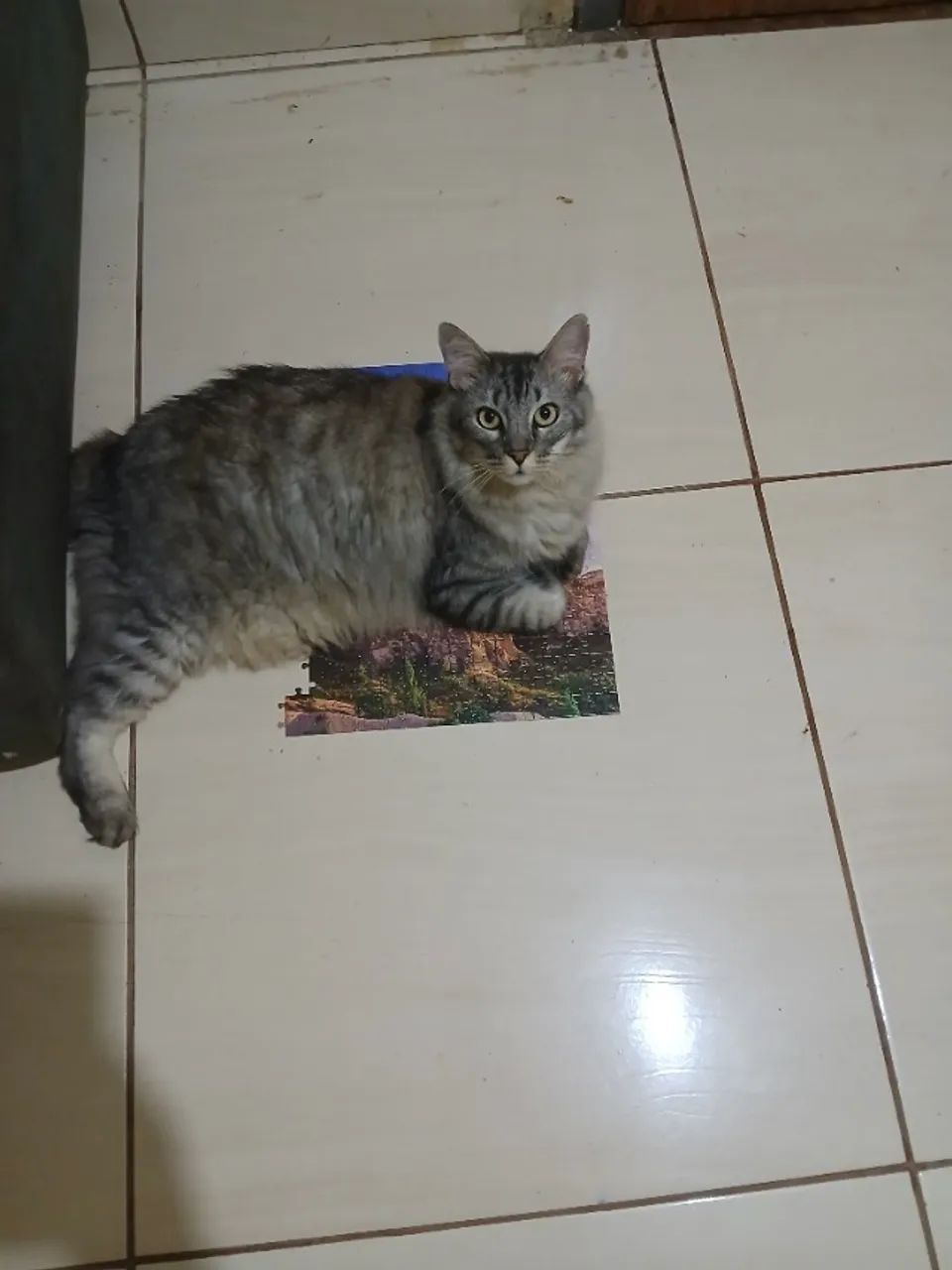 DOAÇÃO RESPONSÁVEL  - Foto 5