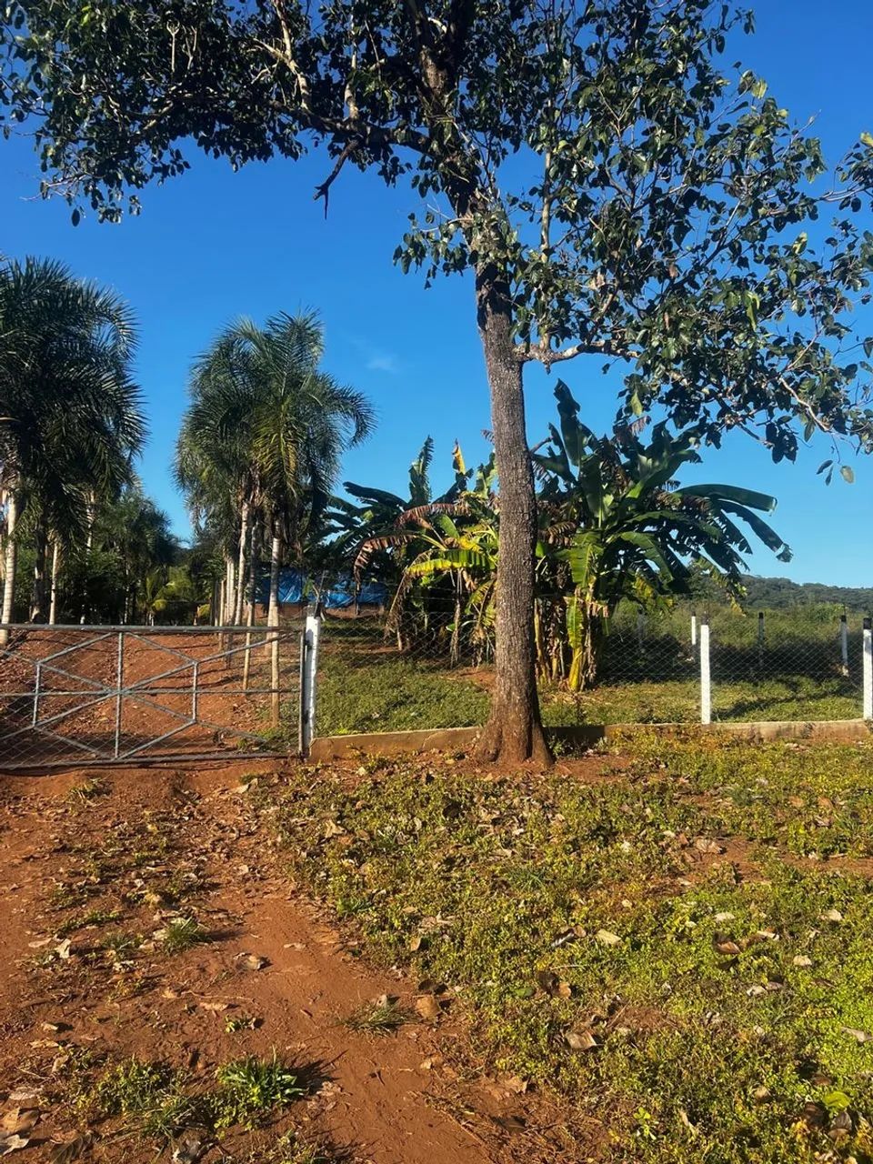 Imóvel rural no varjão em Varjão - Foto 5