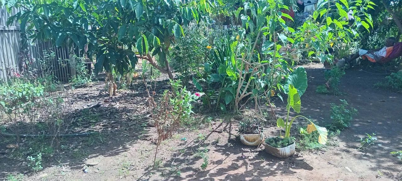 Casa em nova Califórnia  - Foto 4