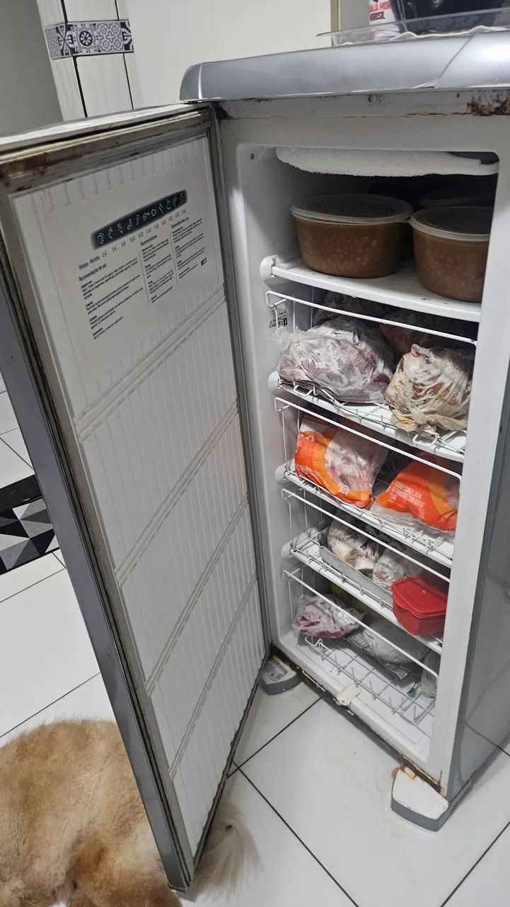 Freezer - Foto 3