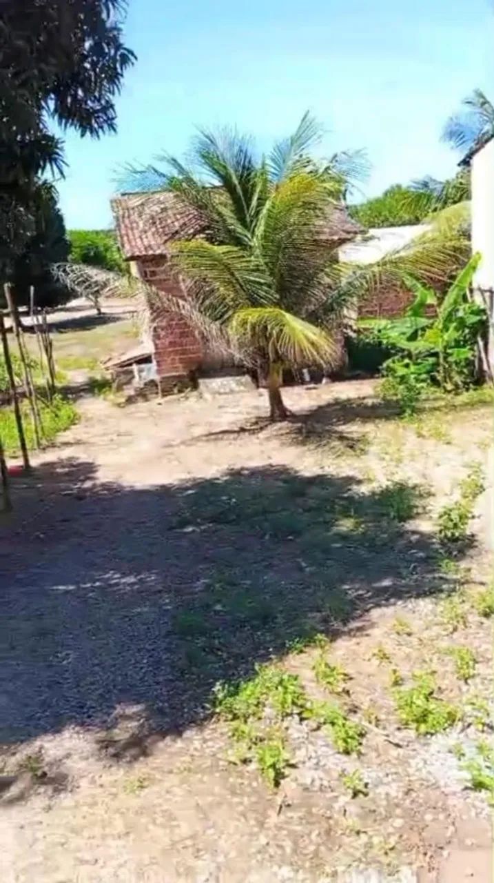 Foto - São José da Coroa Grande - 
