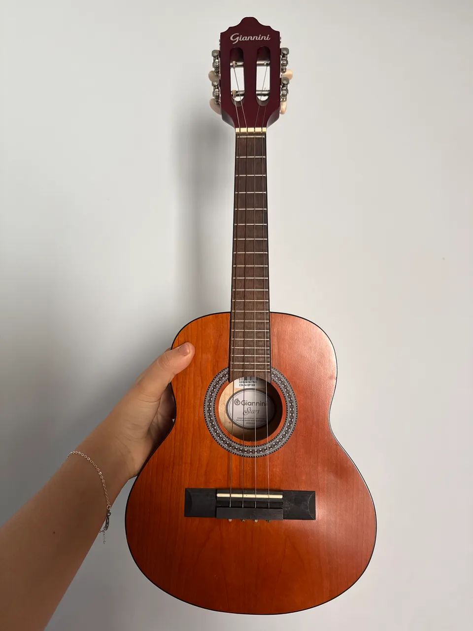 Vende-se Cavaquinho giannini + case ( capa )