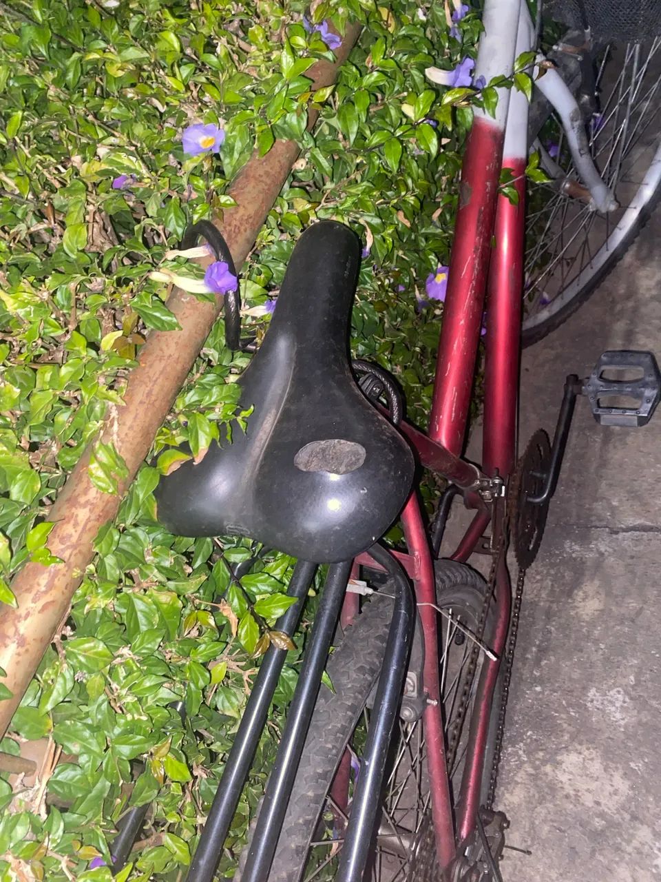 Bicicleta  - Foto 4
