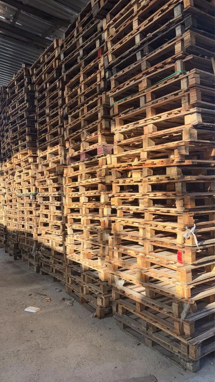 paletes de todos os tipos 