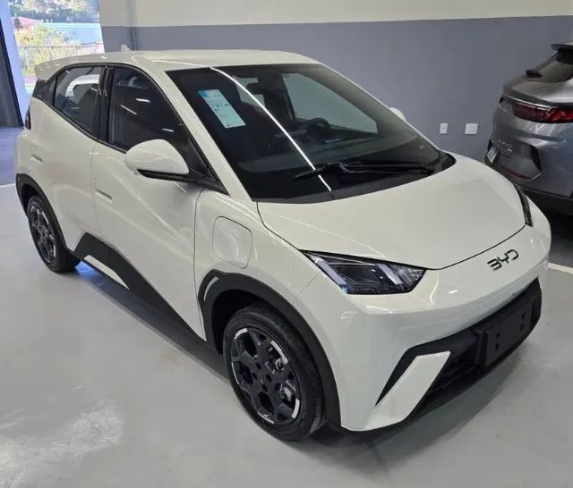BYD Dolphin Mini (Elétrico) 2027
