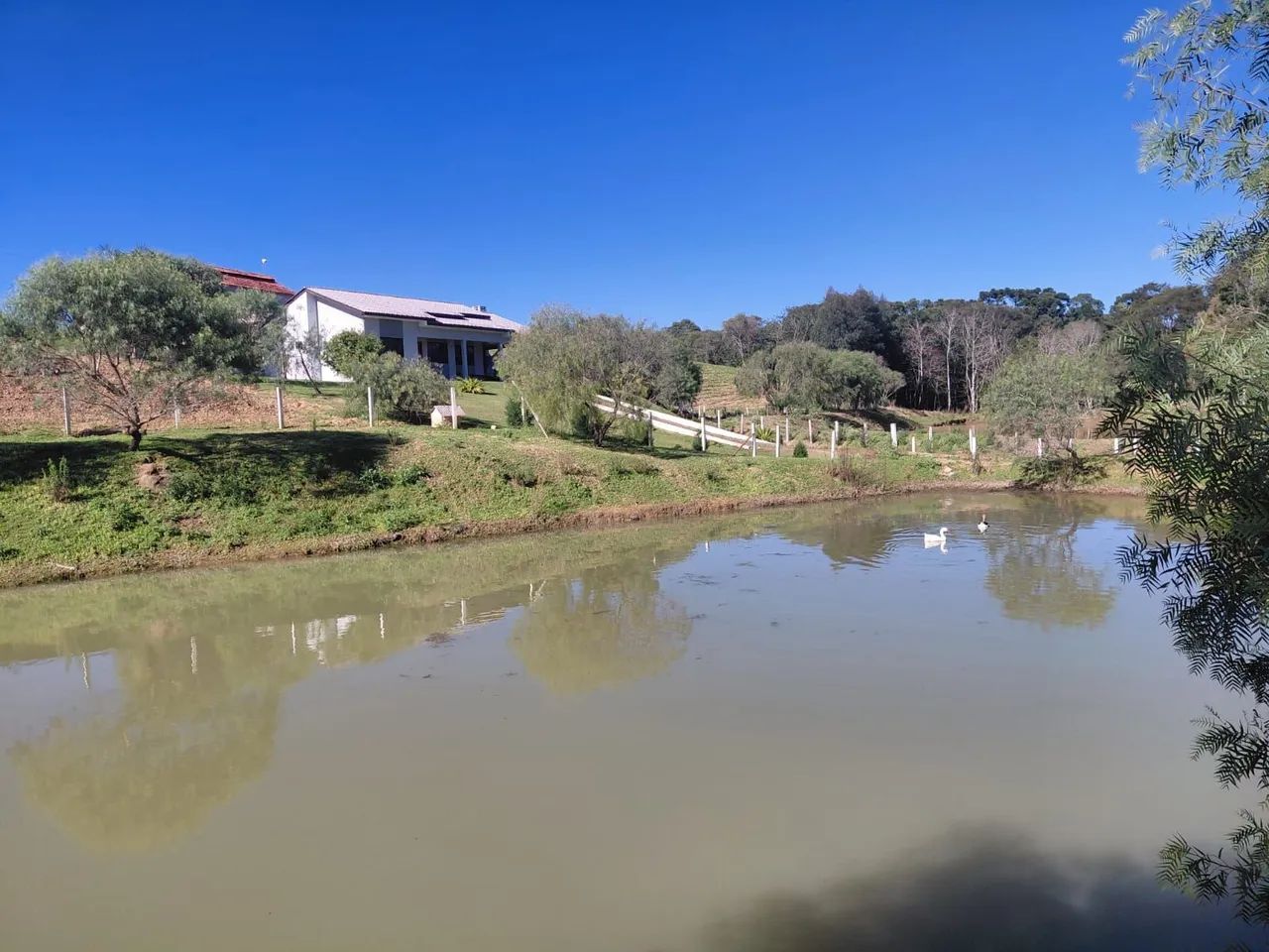 Vende se casa a 9 km de prudentopolis 