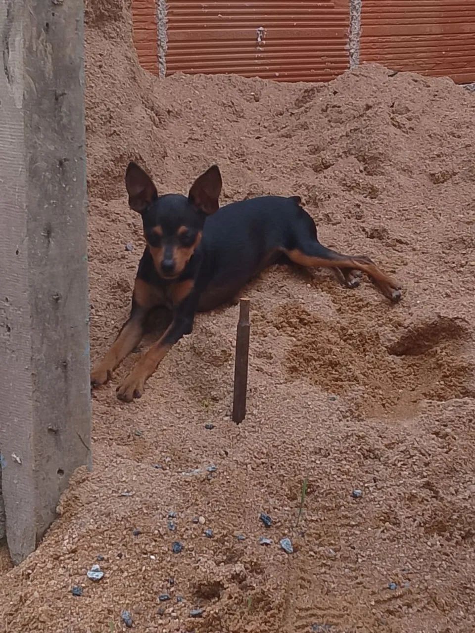 Vende se 