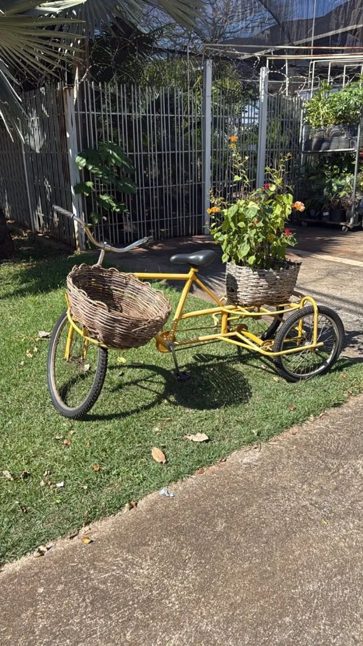 Bicicleta cargueira decorativa