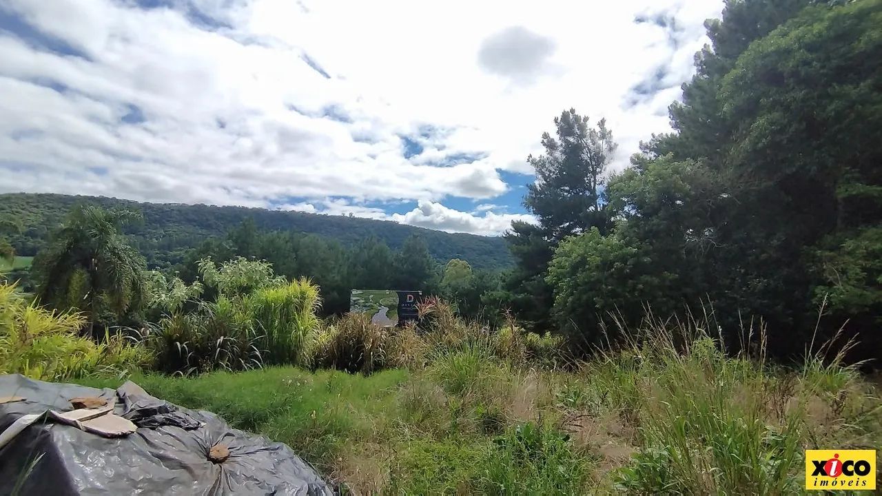 Terreno para Venda em Nova Petrópolis, Linha Imperial - Foto 6