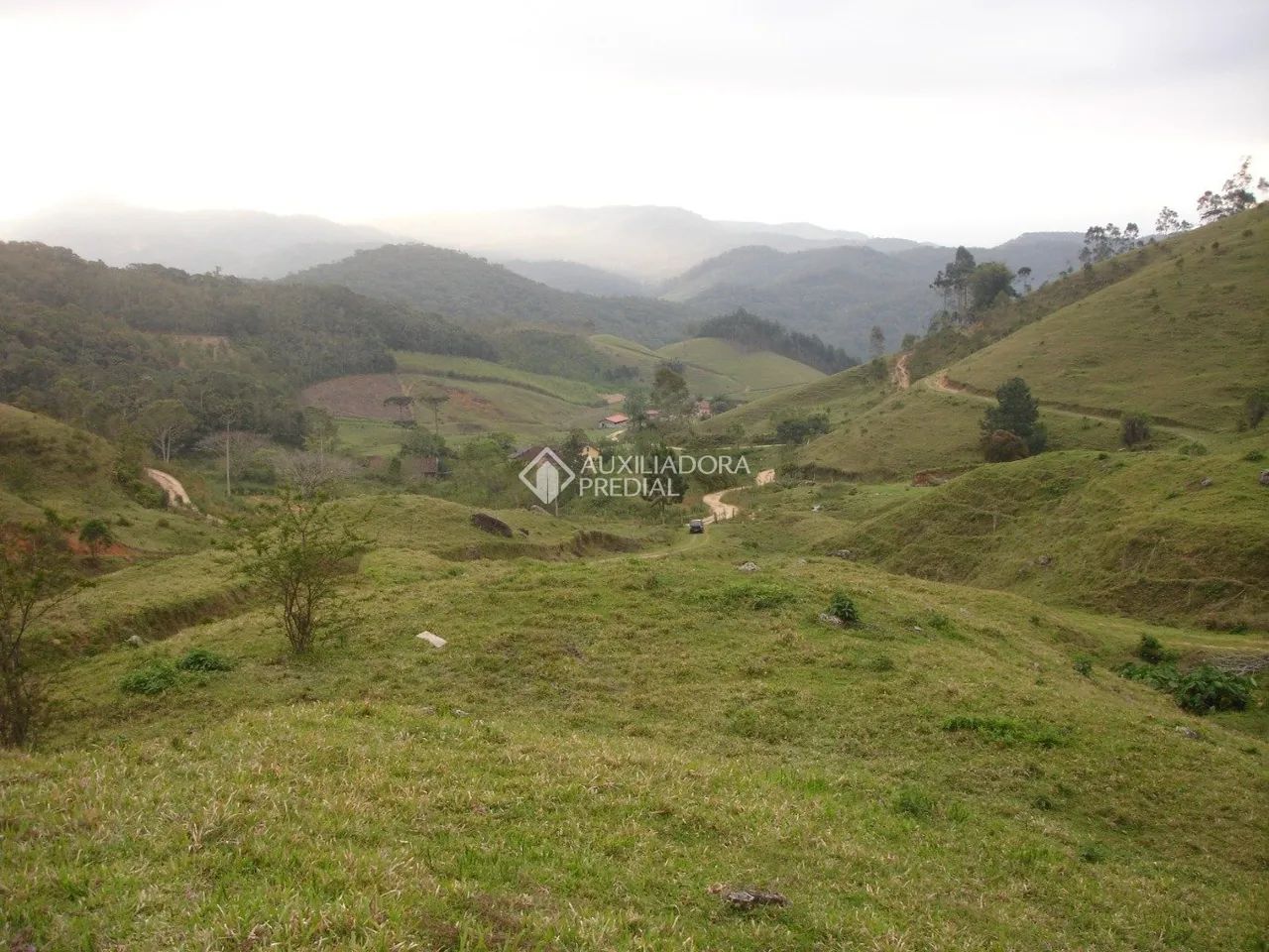 Área rural com 20 ha (20 hectares) em São Pedro de Alcântara - Foto 4