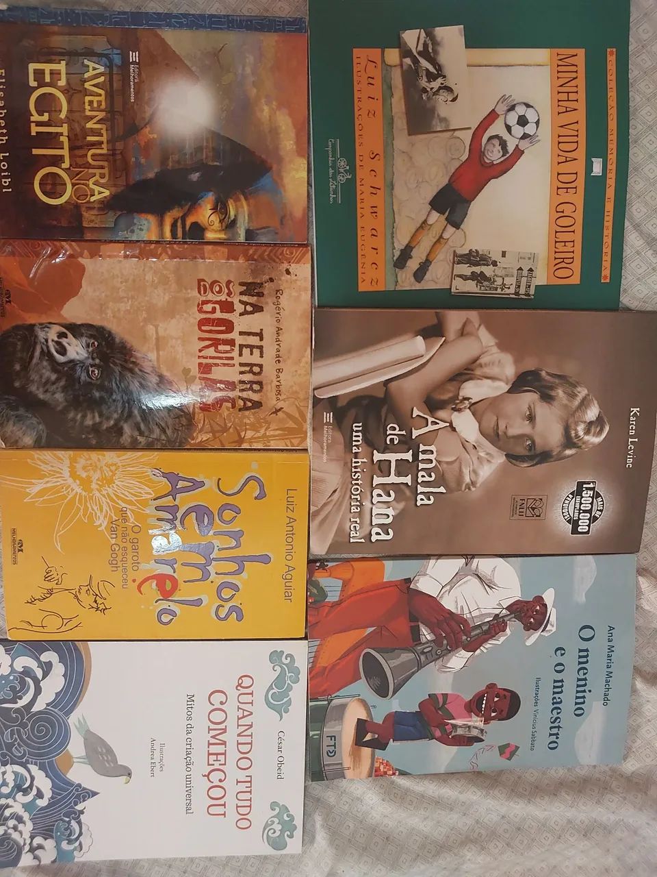 Livros Paradidaticos