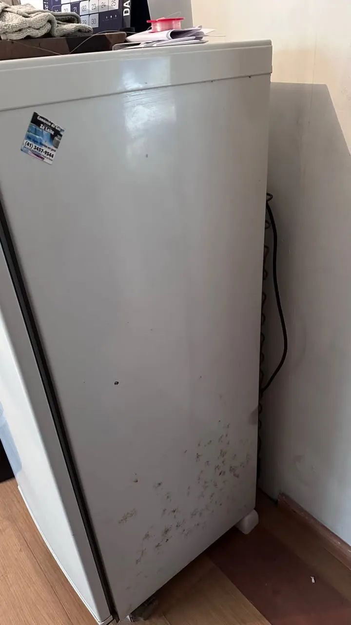 Refrigerador - Foto 3