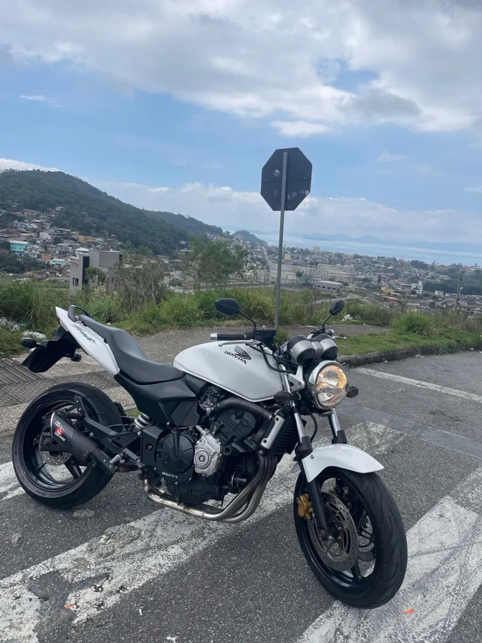 Hornet branca 