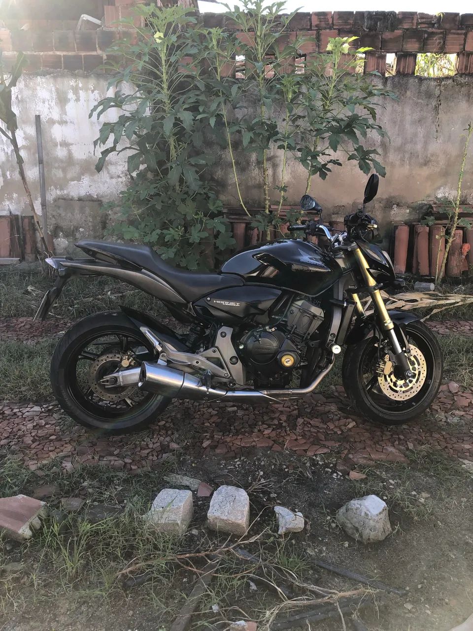 Hornet 600f - Foto 5