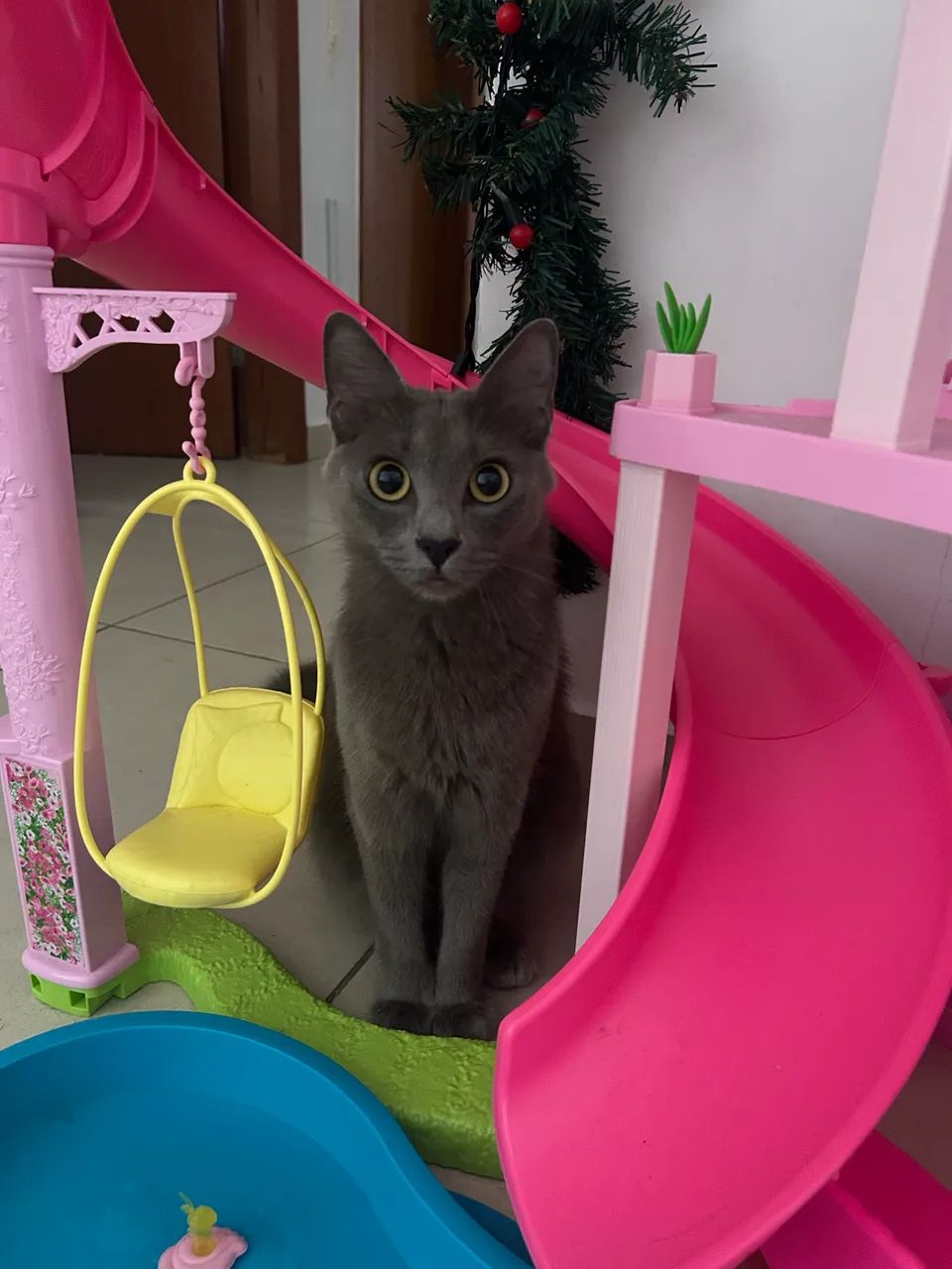 Casa da Barbie - estado de nova - Foto 4
