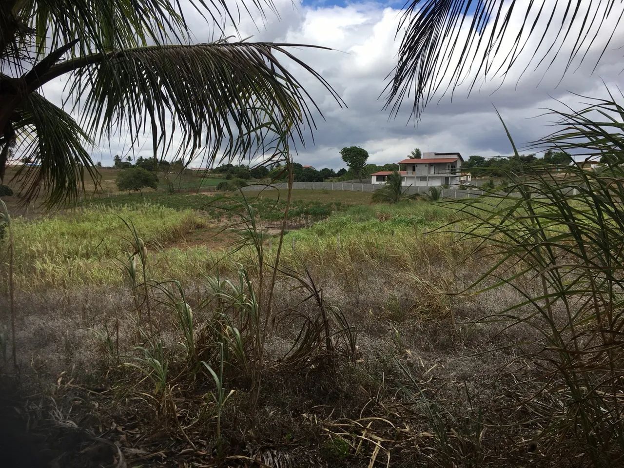 Vendo Sítio em Sobrado - Foto 4