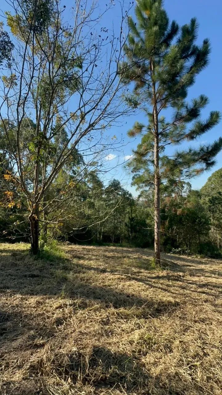 1.000m² em Mairinque | Viva Cercado Pela Natureza - Foto 5