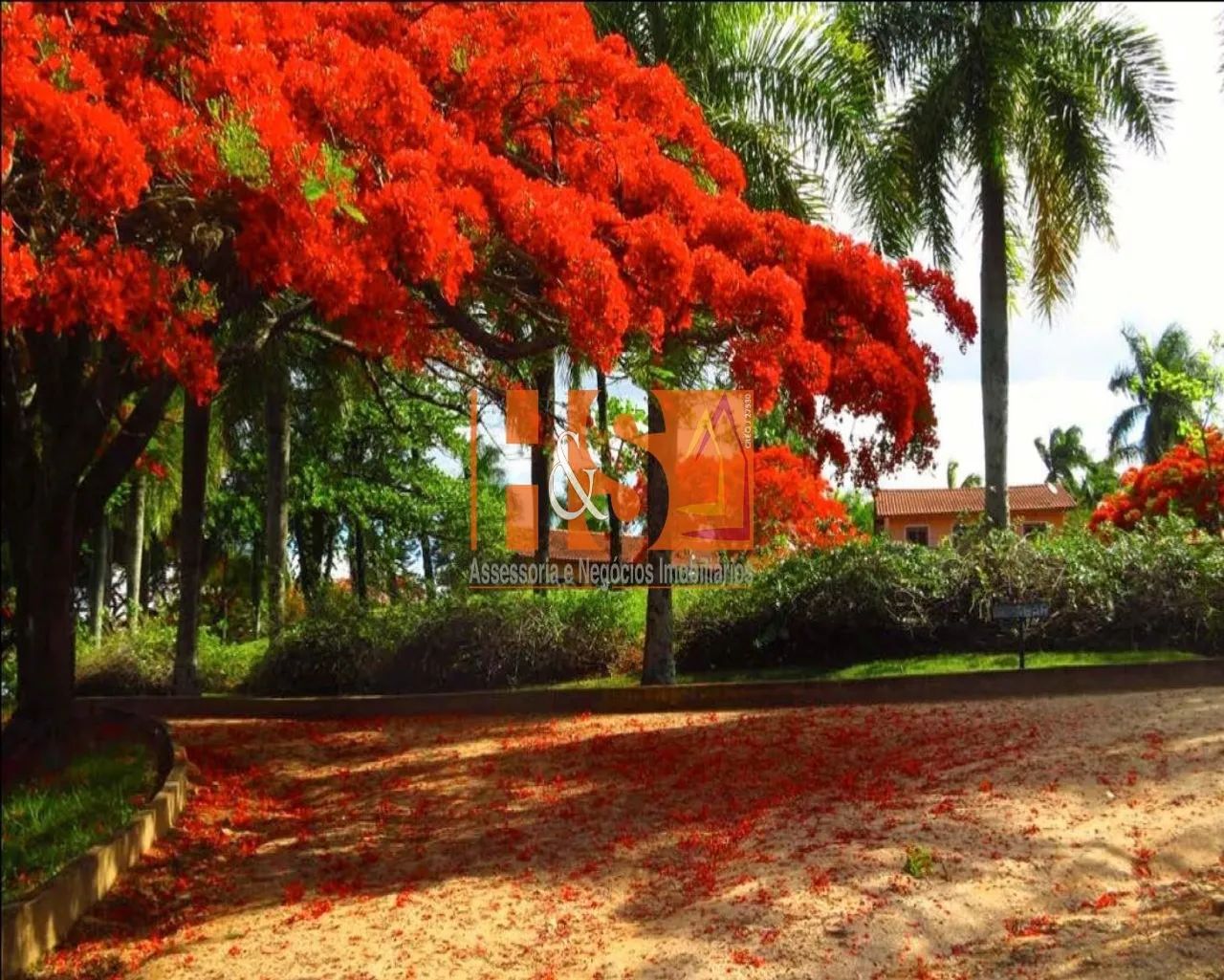 HARAS RURAL em Amparo - São Paulo, Centro - Foto 3