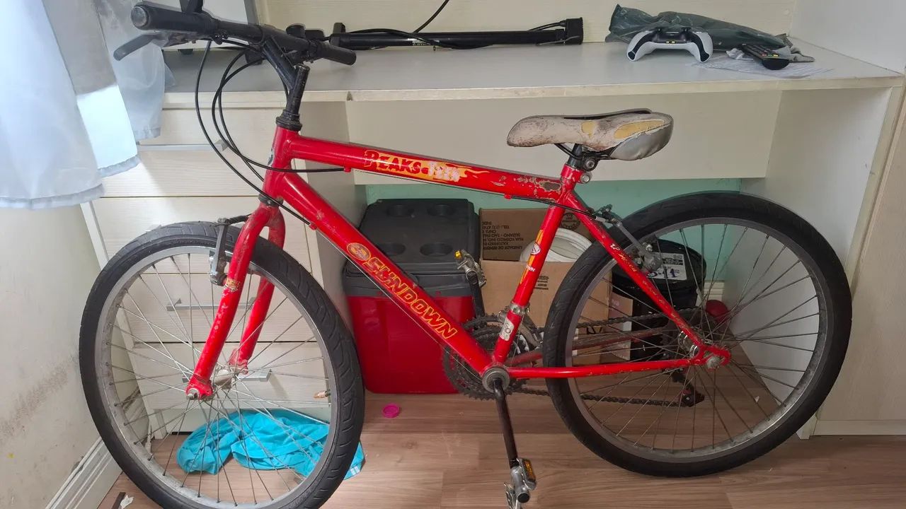 Bicicleta 