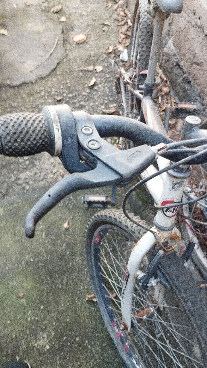Bicicleta  - Foto 2