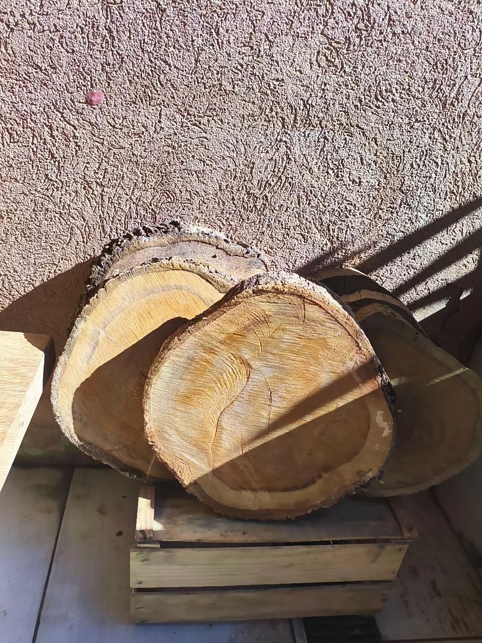 Vendo bolacha