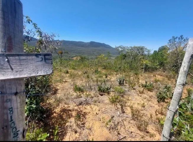 Terreno 