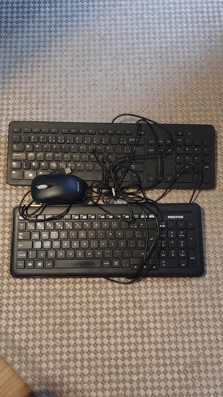 Kit com 2 teclados e 1 mouse (básicos com fio)