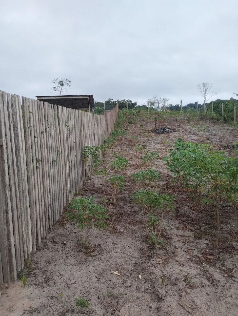 Terreno a venda - Foto 4