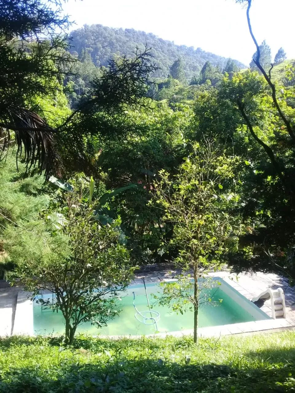 excelente Sítio em Engenheiro Paulo de Frontin - Foto 4