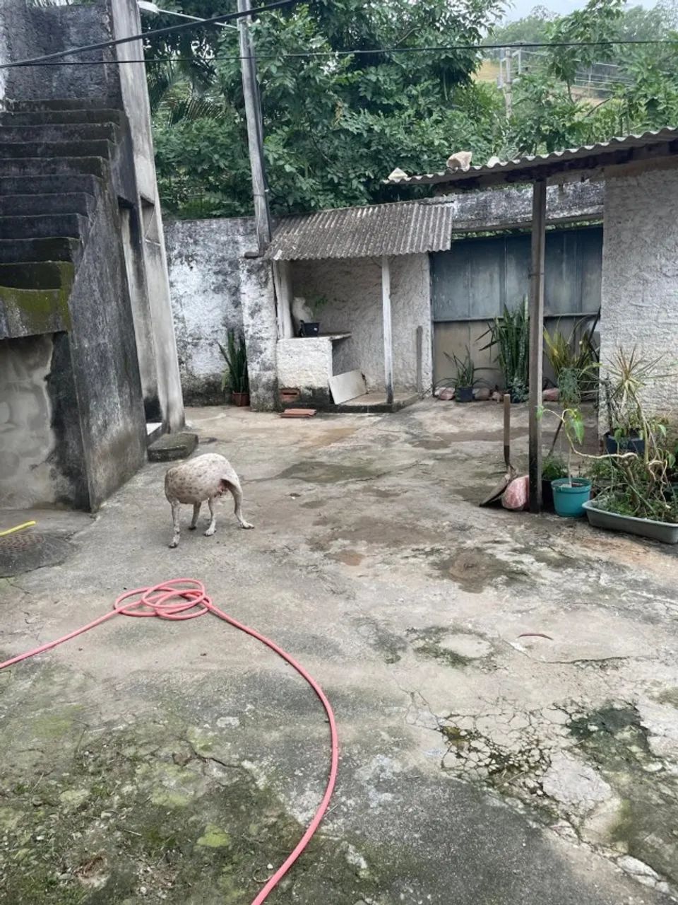 Venda de casa simples com espaço comercial  - Foto 2