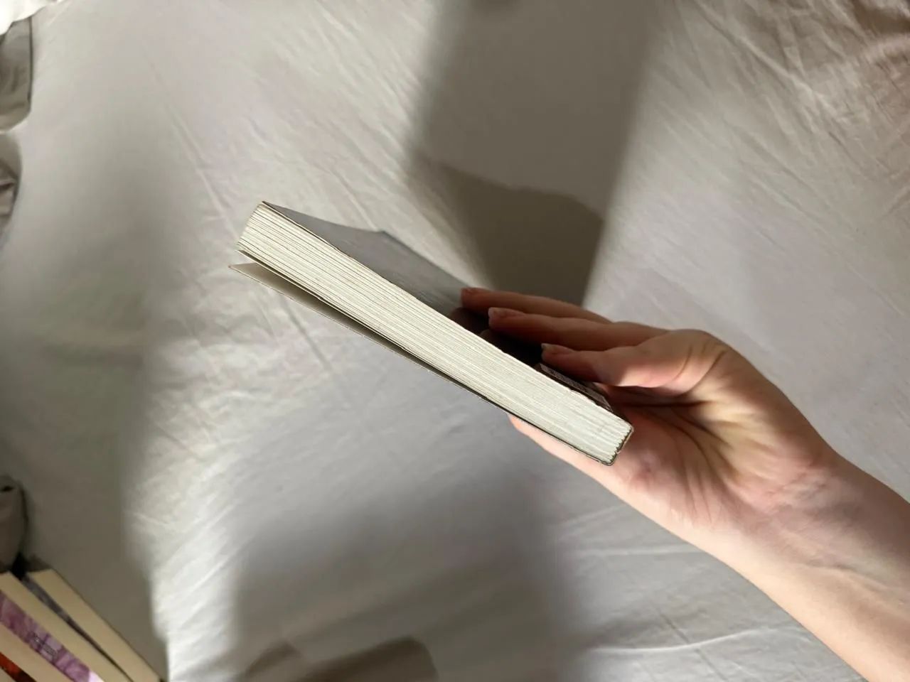 Confie em mim (Harlan Coben) - Foto 4
