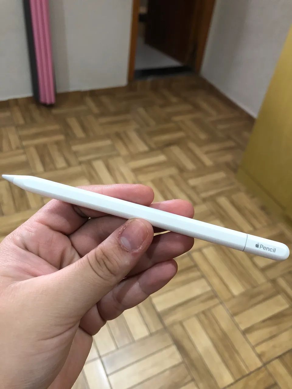 Apple Pencil USB-C - Tablets e E-Readers - Parque Santo Amaro, São