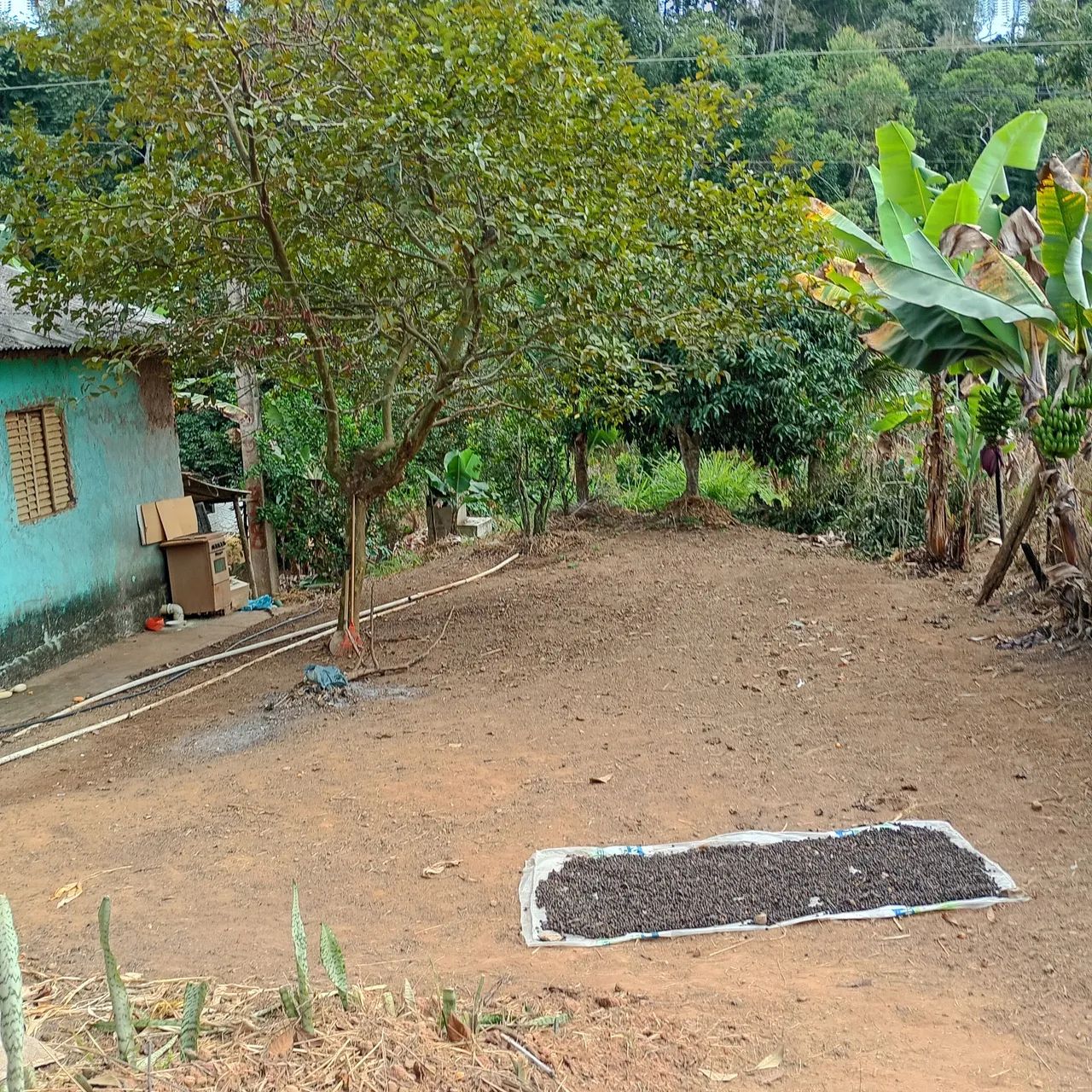 Chácara de 1000m2 com casa de 4 cômodos com poço artesiano  - Foto 2