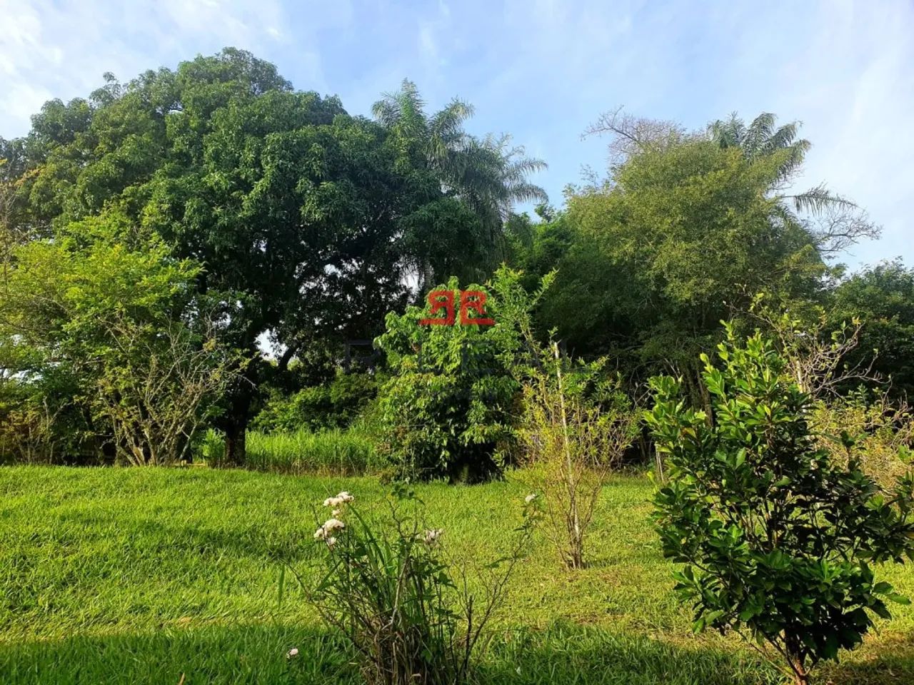 Oportunidade Imperdível em Piratininga! - Foto 3