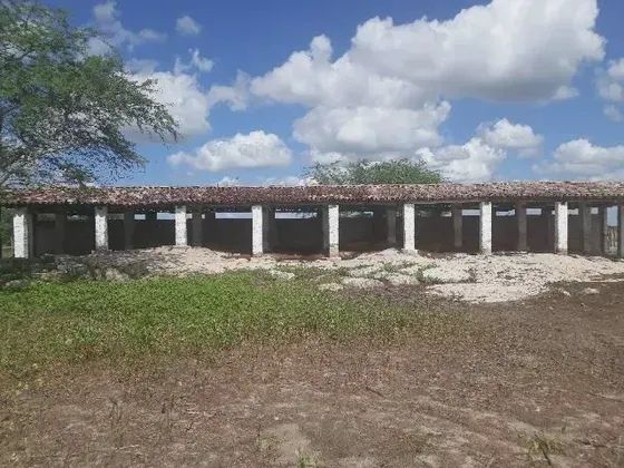 Excelente Fazenda com 570 hectares entre Tangara e serra caiada - Foto 4