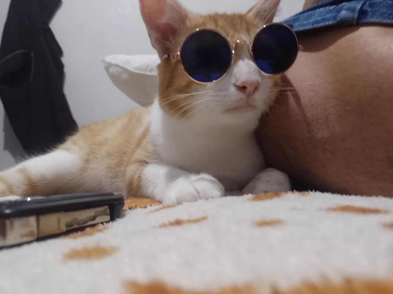 Doação responsável  - Foto 2