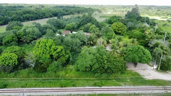 Excelente Granja com 12.6 hectares próximo a lagoa do Bonfim - Foto 3