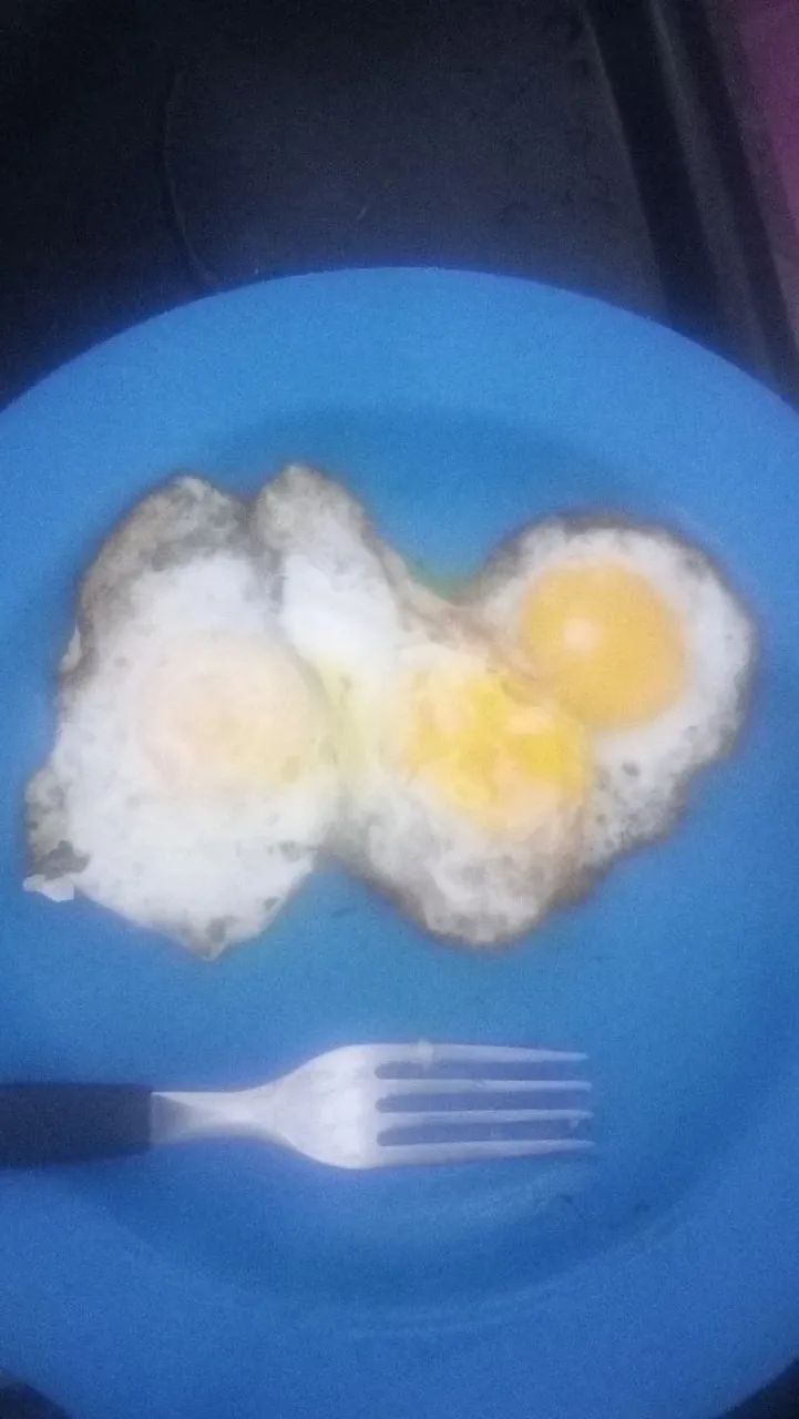 Galinhas Sebright e mistura  - Foto 3