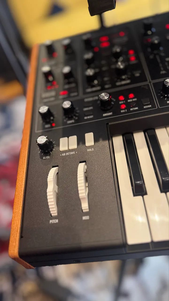 Moog Muse - Foto 2
