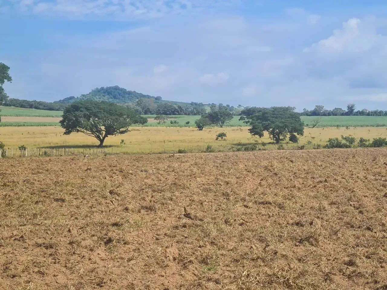 Sítio ,área útil muito boa
